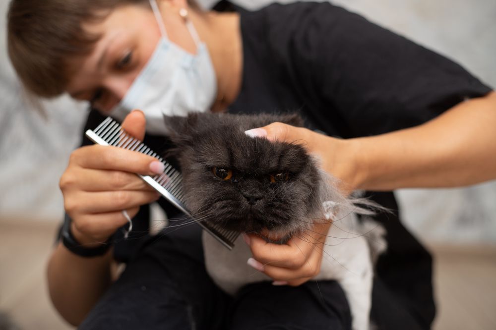 Photograph by Евгения Куликова