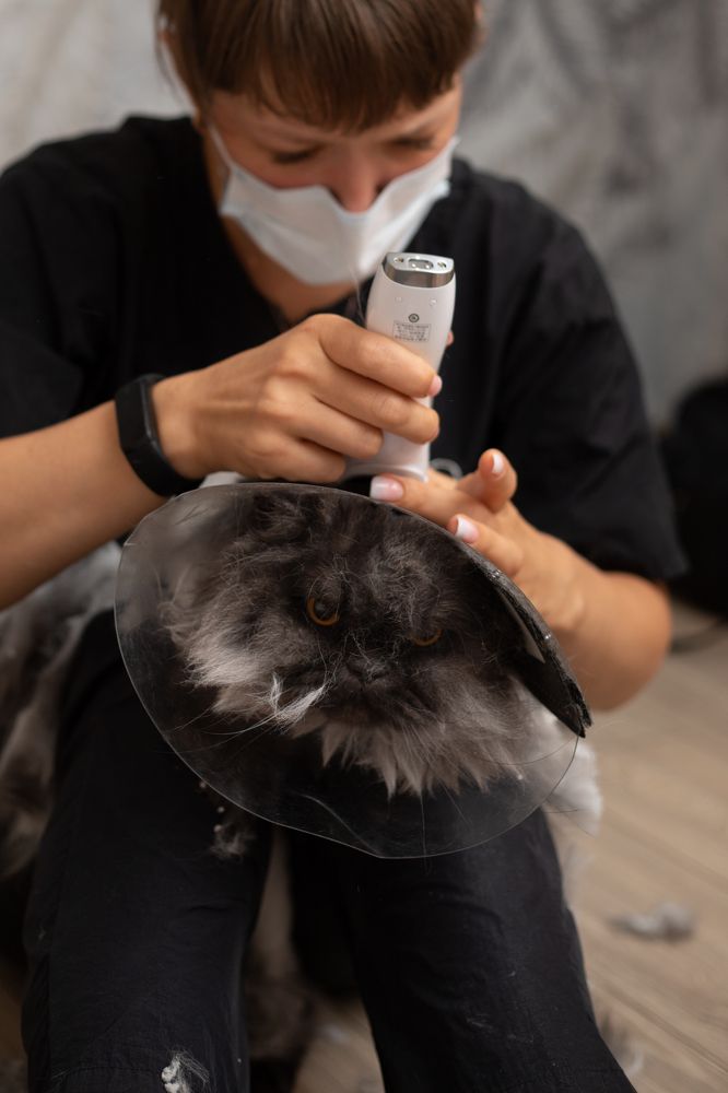 Photograph by Евгения Куликова