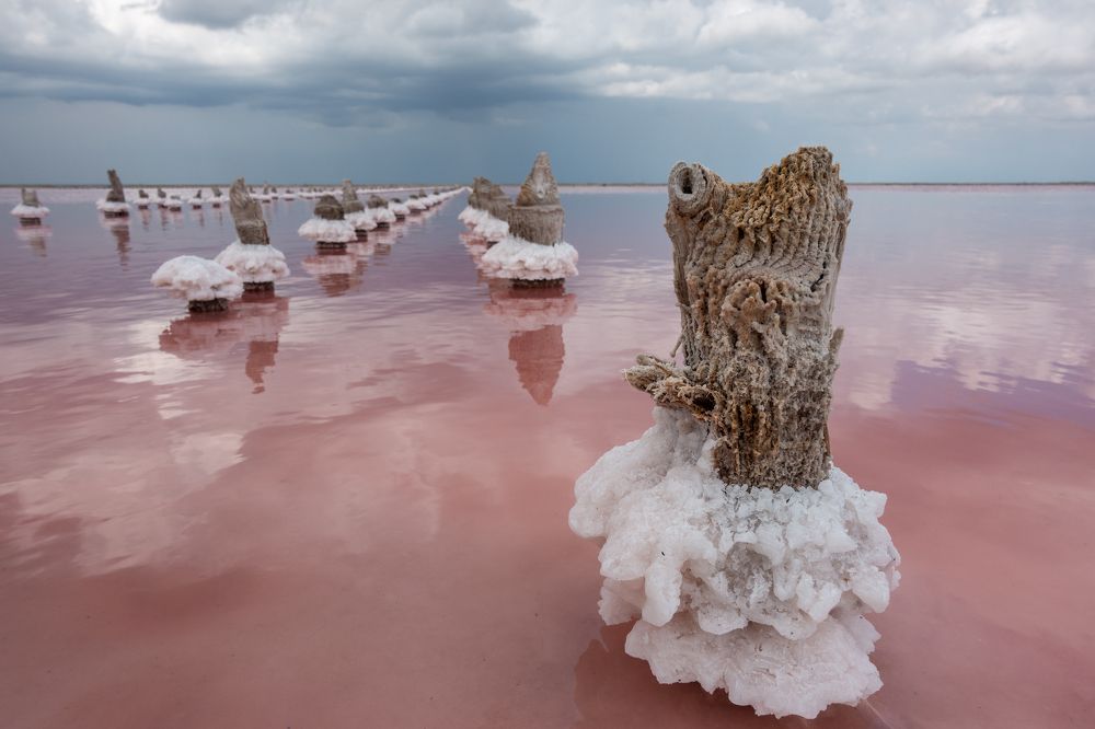 Photograph by Андрей Гусаченко