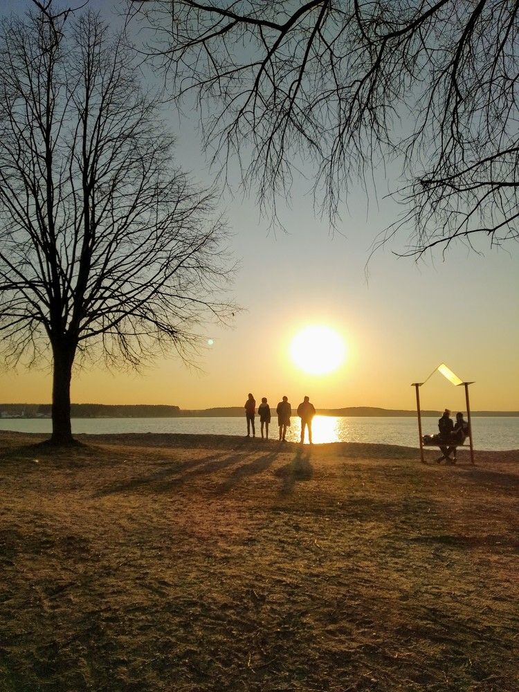 Photo #8643571