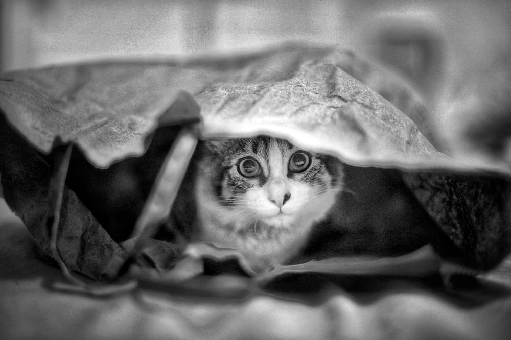 Photograph by Maria Ines Gomez