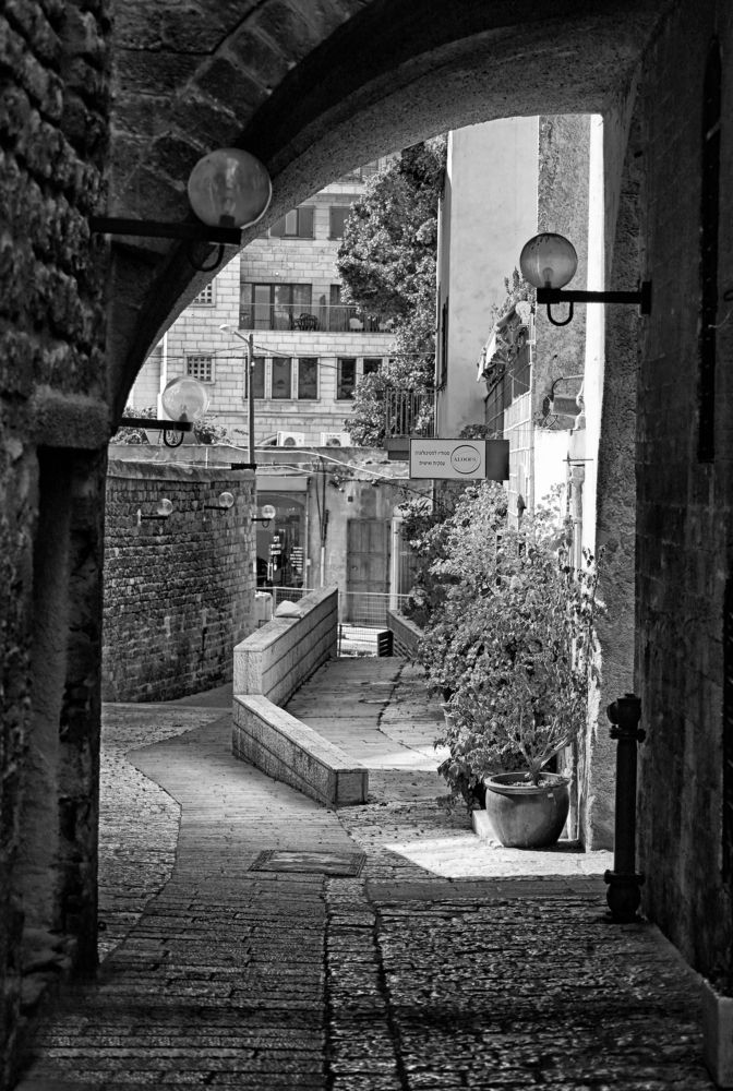 Photograph by Alyona Shore