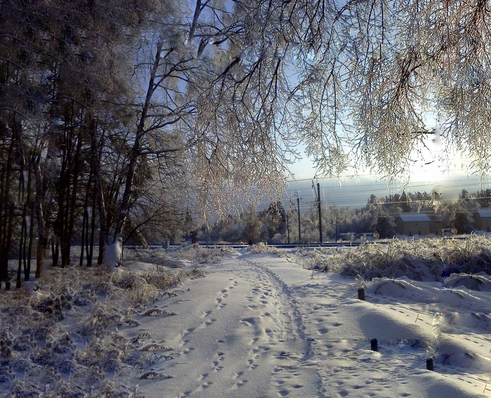 Photograph by Анастасия Липаткина