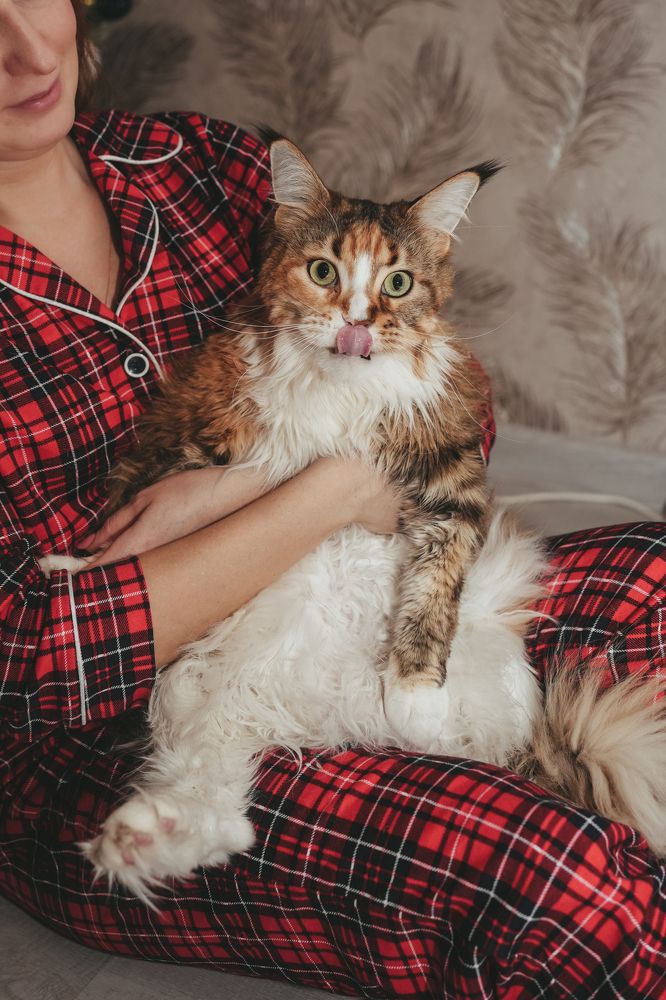 Photograph by Марина Забабурина