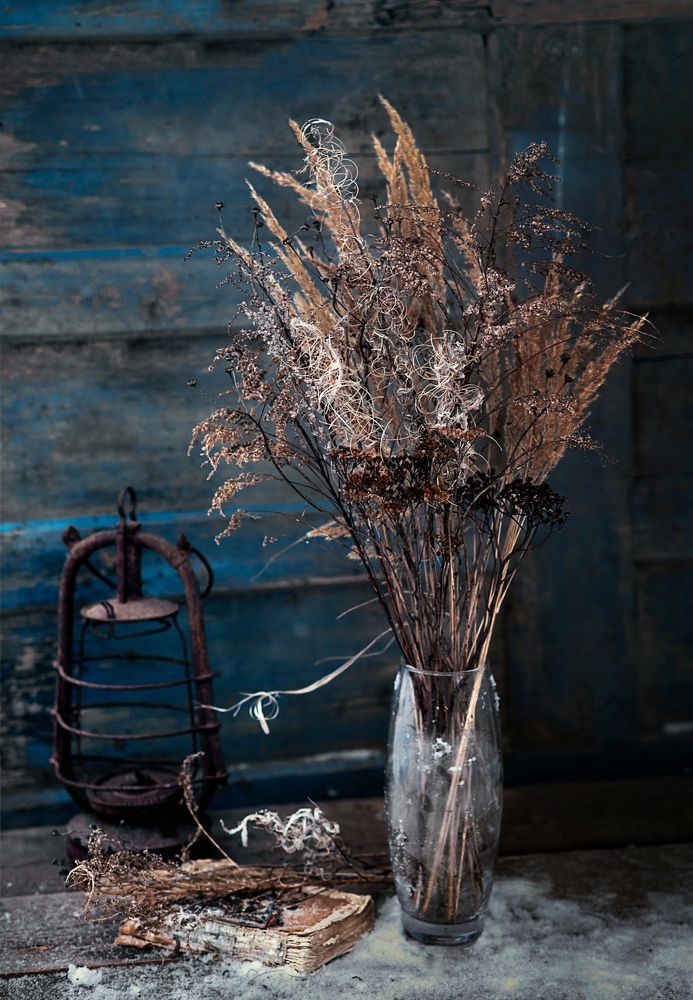 Зимний букет и ветер