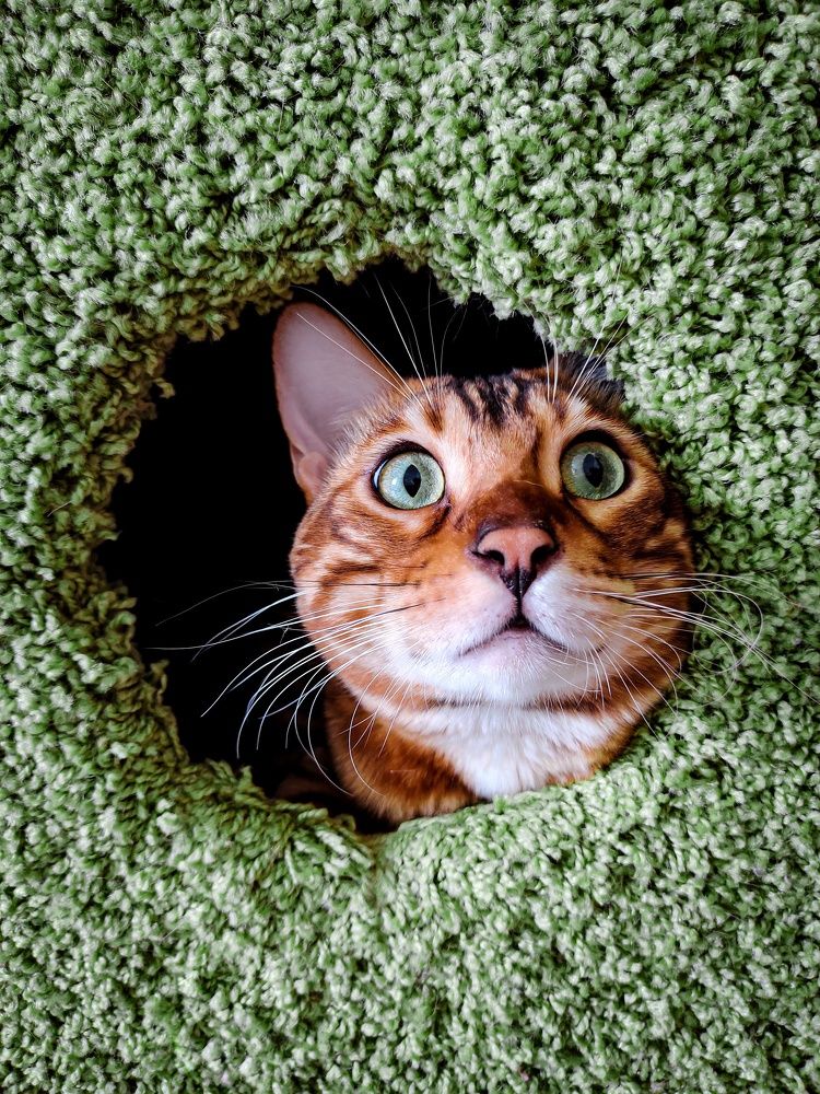 Photograph by Альфия