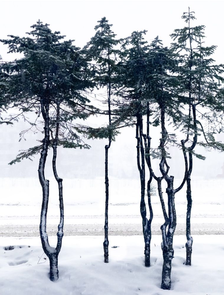 Photograph by Михаил Гордий