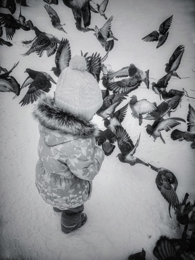 Photograph by Денис Шамров