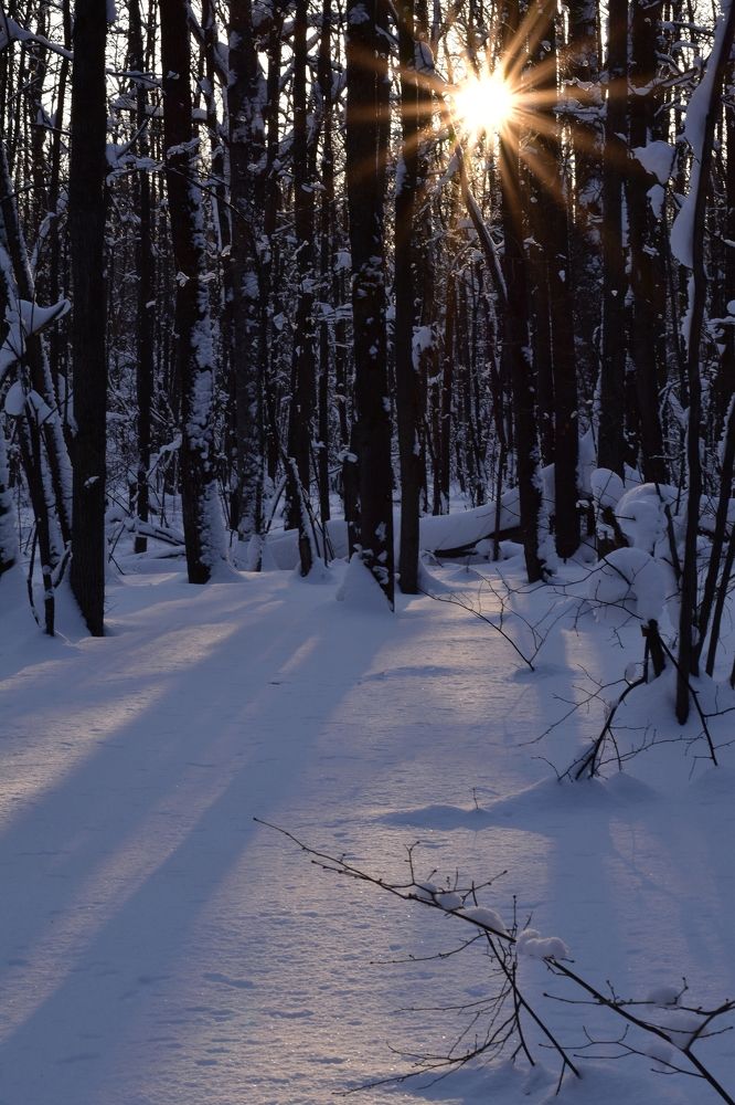 Photograph by Svetlana