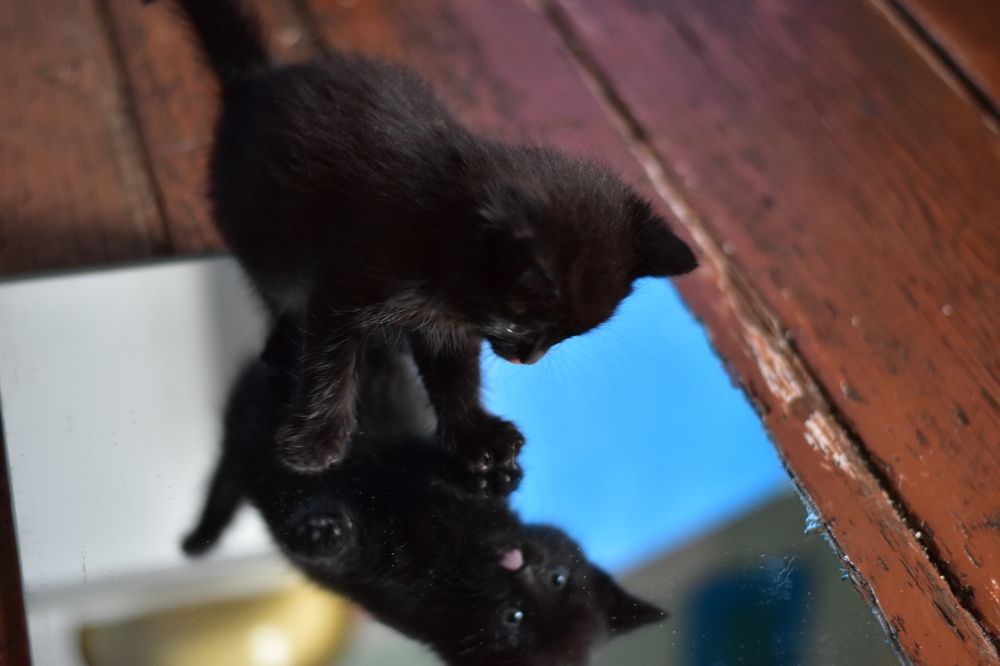 Photograph by Svetlana