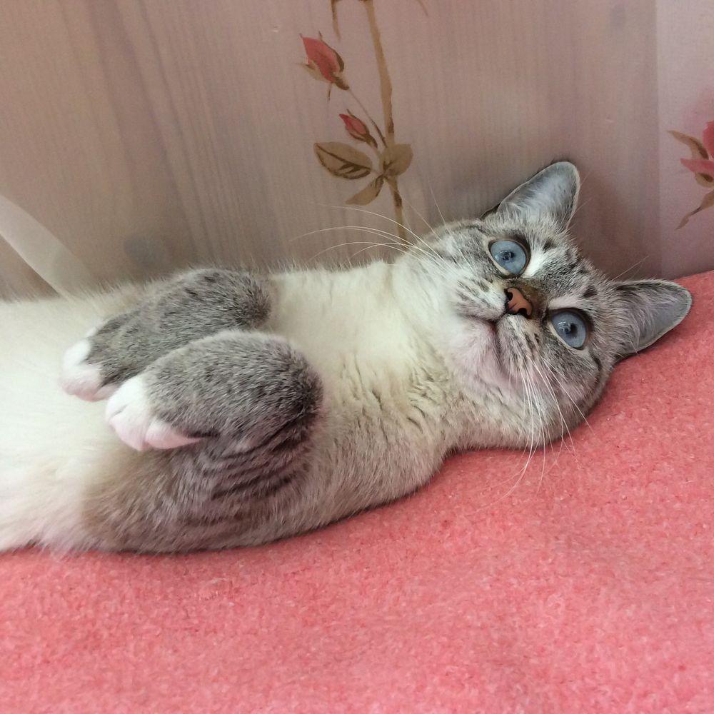 Photograph by Евгений Сергеев