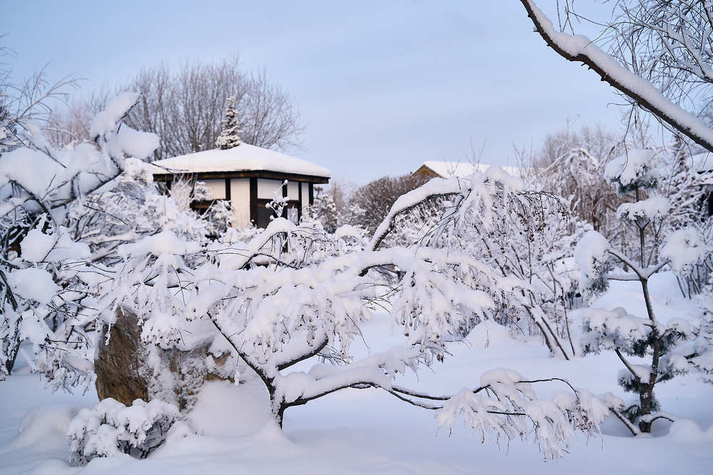 Зимний сон "японского сада"