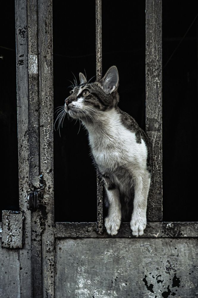 Photograph by Hayk Mkrtchyan