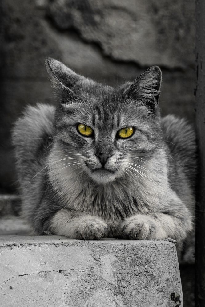 Photograph by Hayk Mkrtchyan