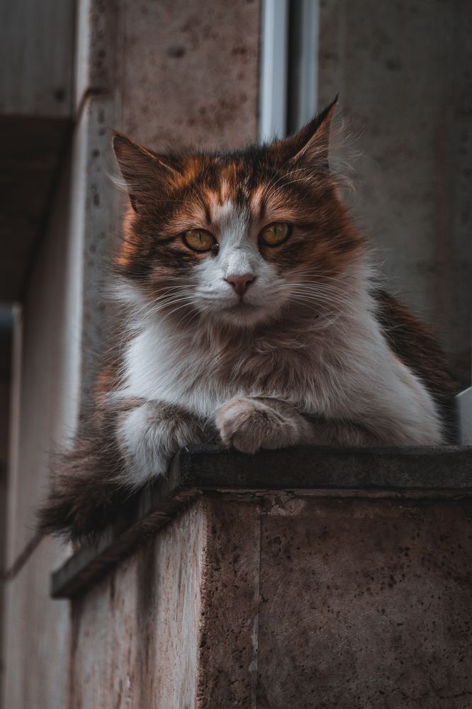Photograph by Hayk Mkrtchyan