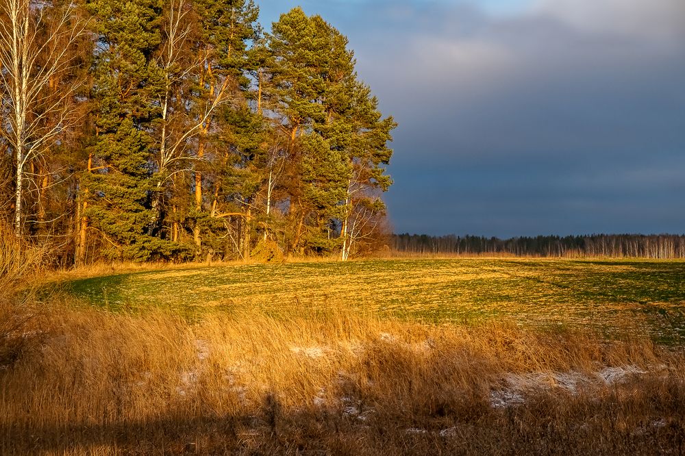 Photograph by Елена Ворошина