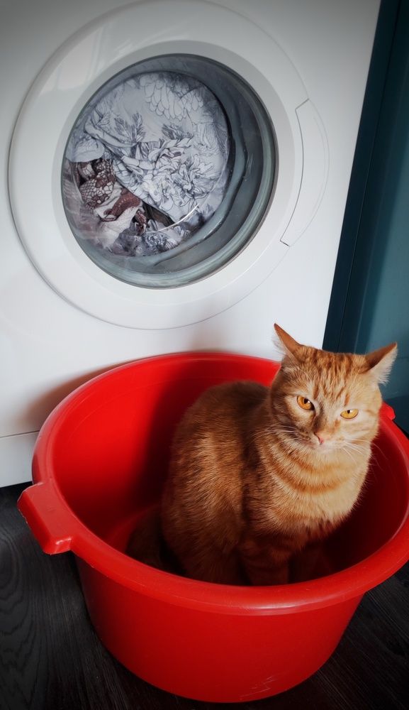 Photograph by Наталья Калюнова