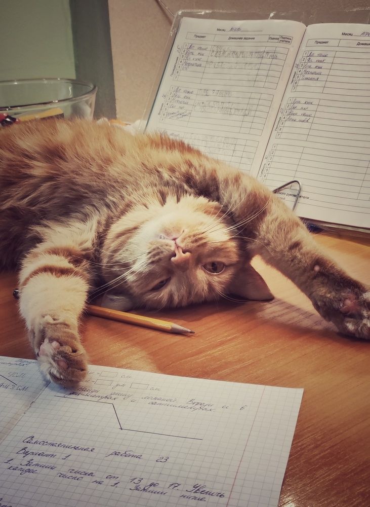 Photograph by Наталья Калюнова