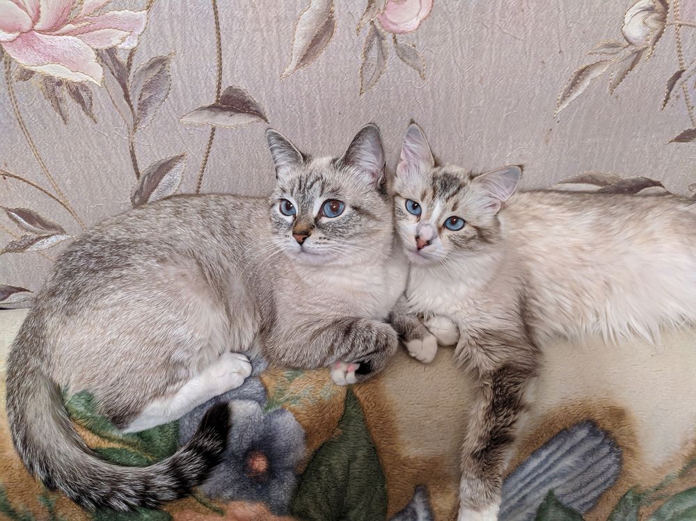 Photograph by Евгений Сергеев