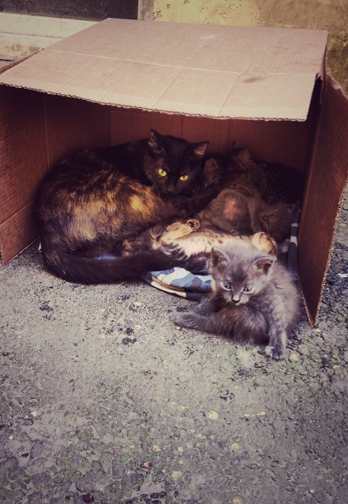 Photograph by Наталья Калюнова