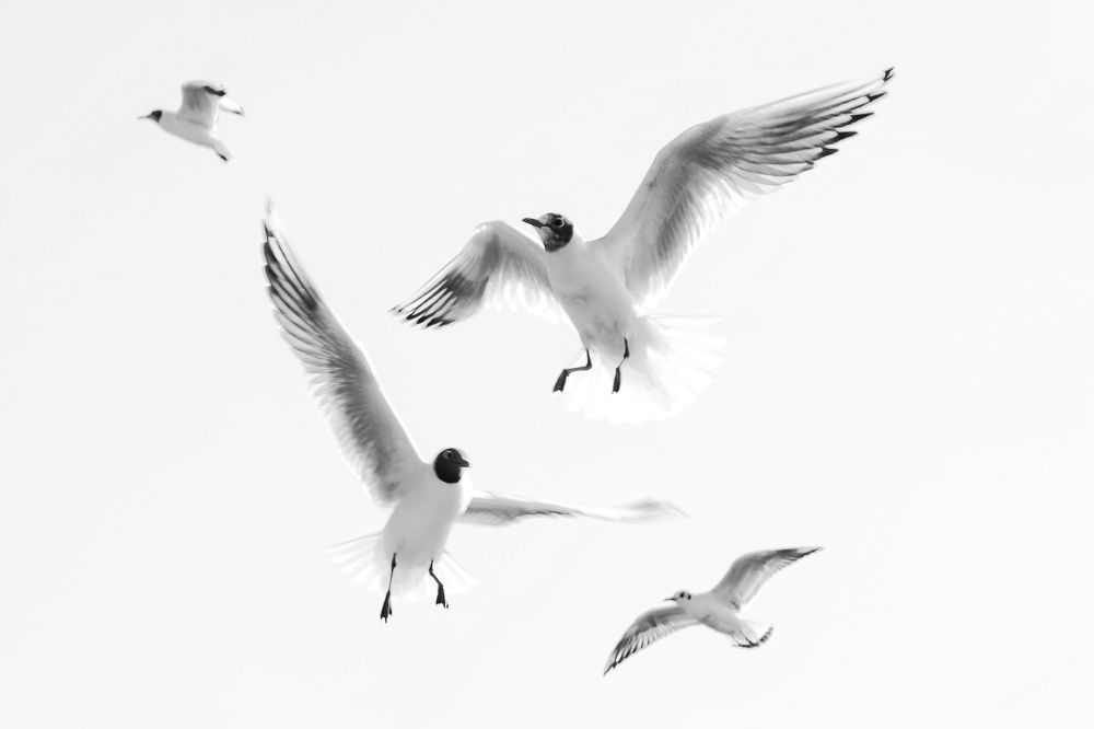 Фотография автора Елена Кириллова