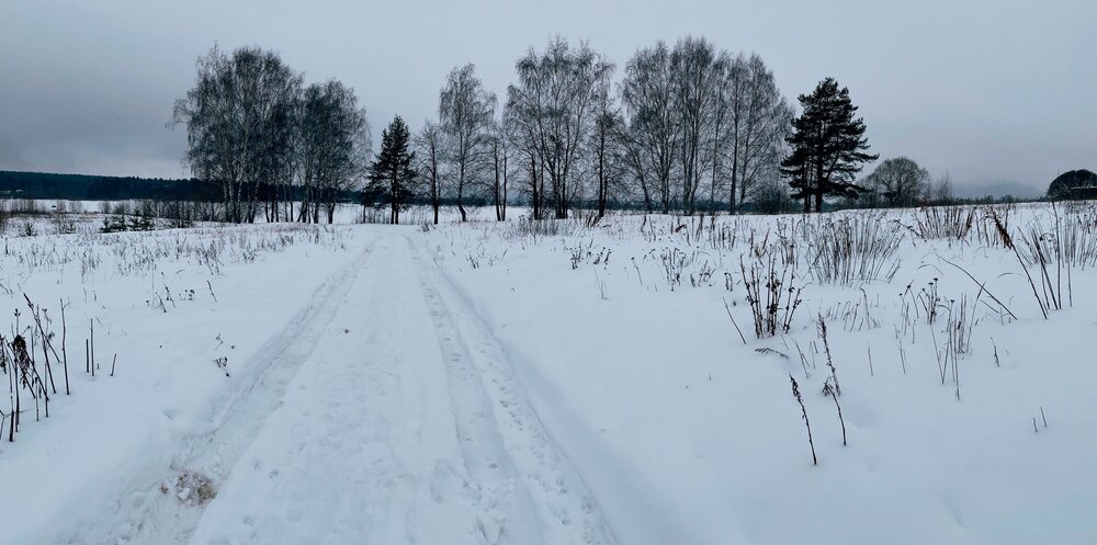 Photograph by Ирина Дубовцова
