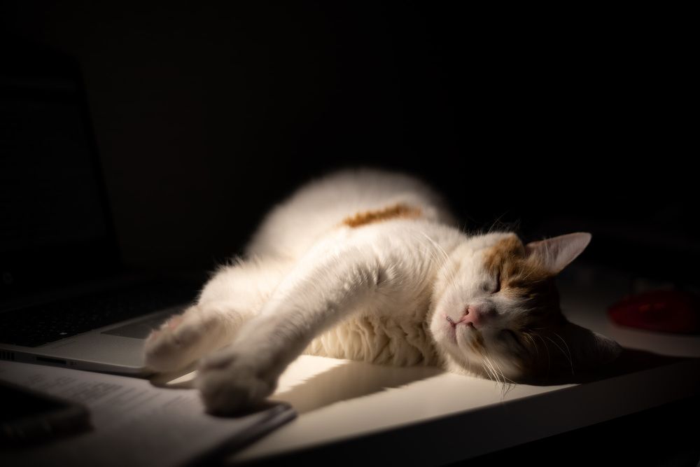 Photograph by Александр Максимов