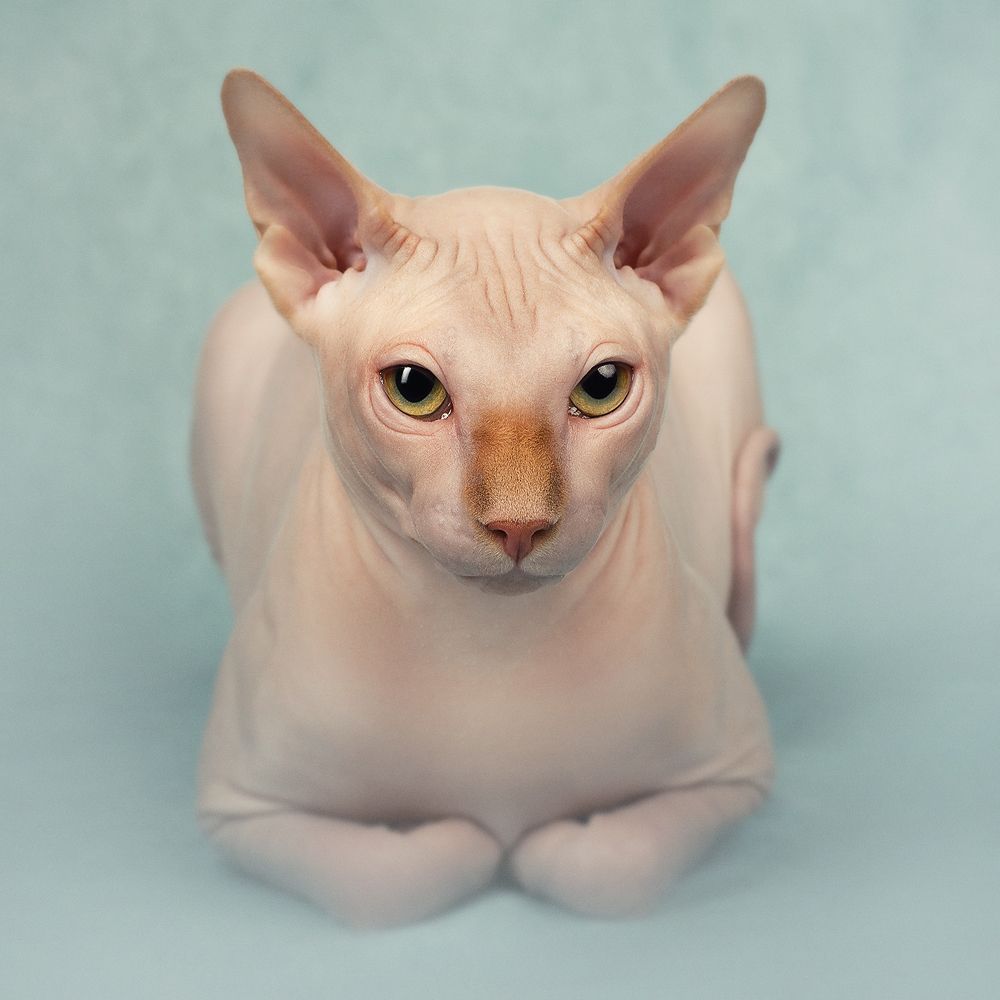 Suspicious look/подозрительный взгляд