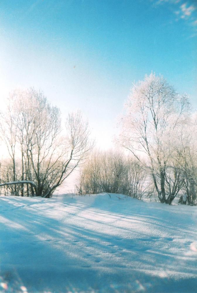 Зимнее утро