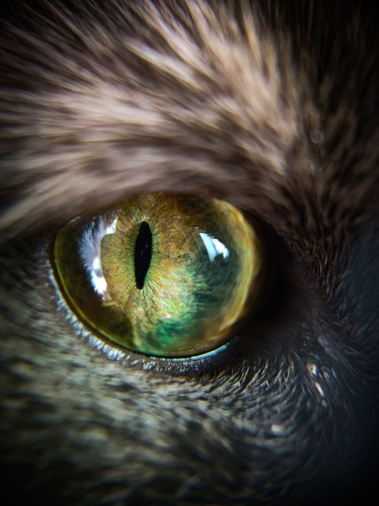 Photograph by Olga Royanova