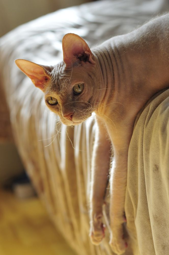 Photograph by Дерезюк Юрий Александрович