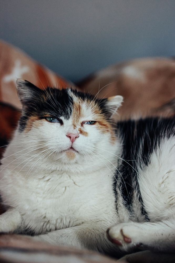 Photograph by Юлия Белозёрова