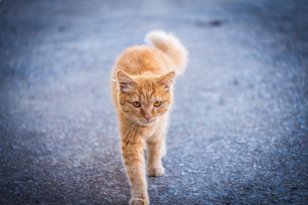 Photograph by Альберт Габбасов