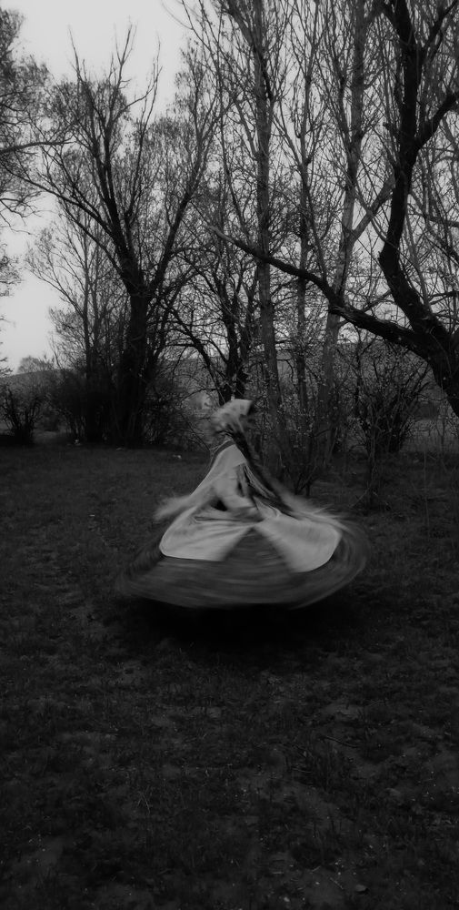 Photograph by Roghayeh Dannandeh