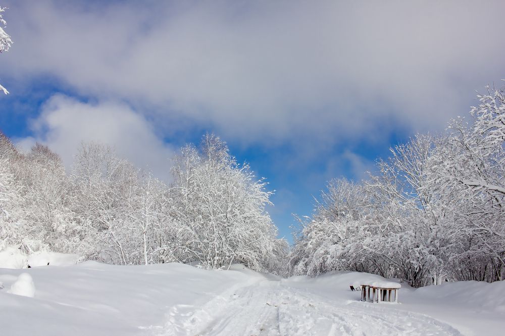 Photograph by Ольга Богданова