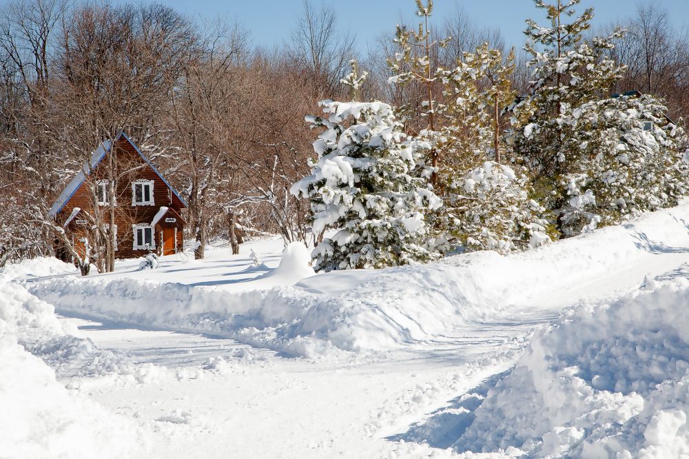 Photograph by Ольга Богданова