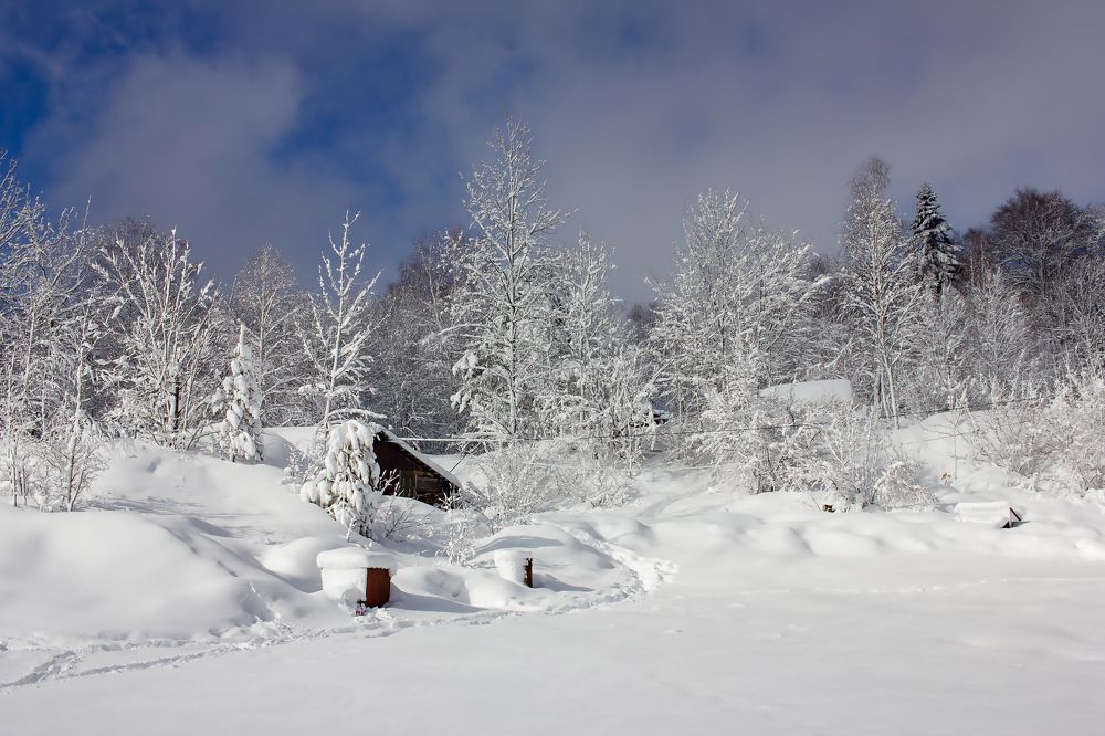 Photograph by Ольга Богданова