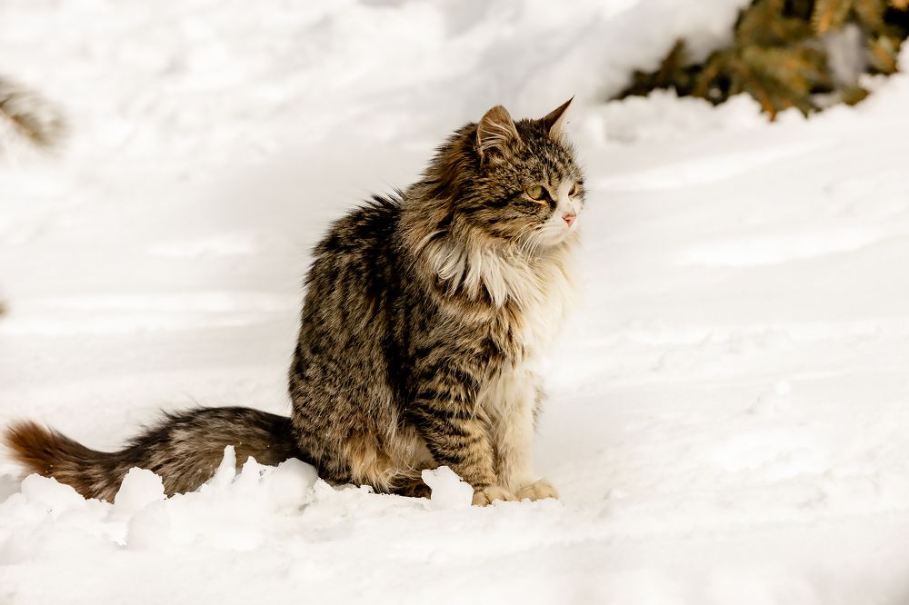 Photograph by Ольга Богданова