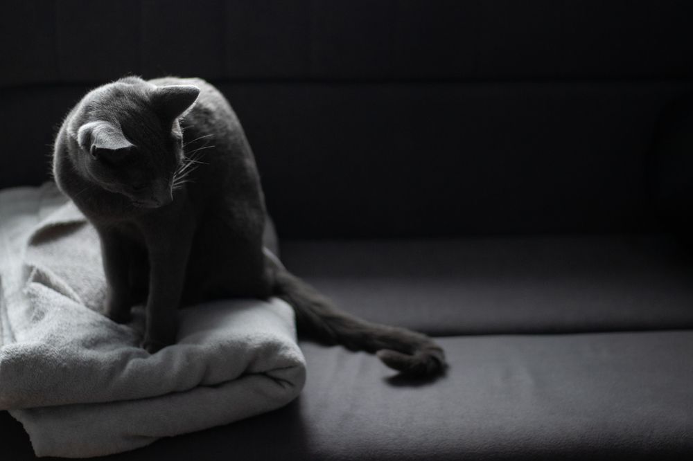 Photograph by Татьяна Стружкина