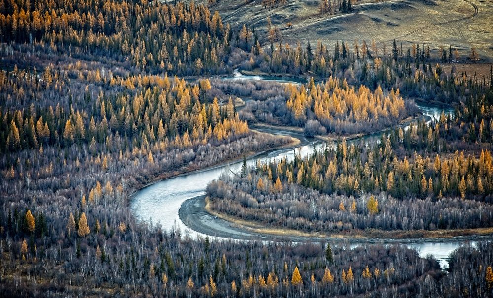 Photograph by Игорь Щербаков