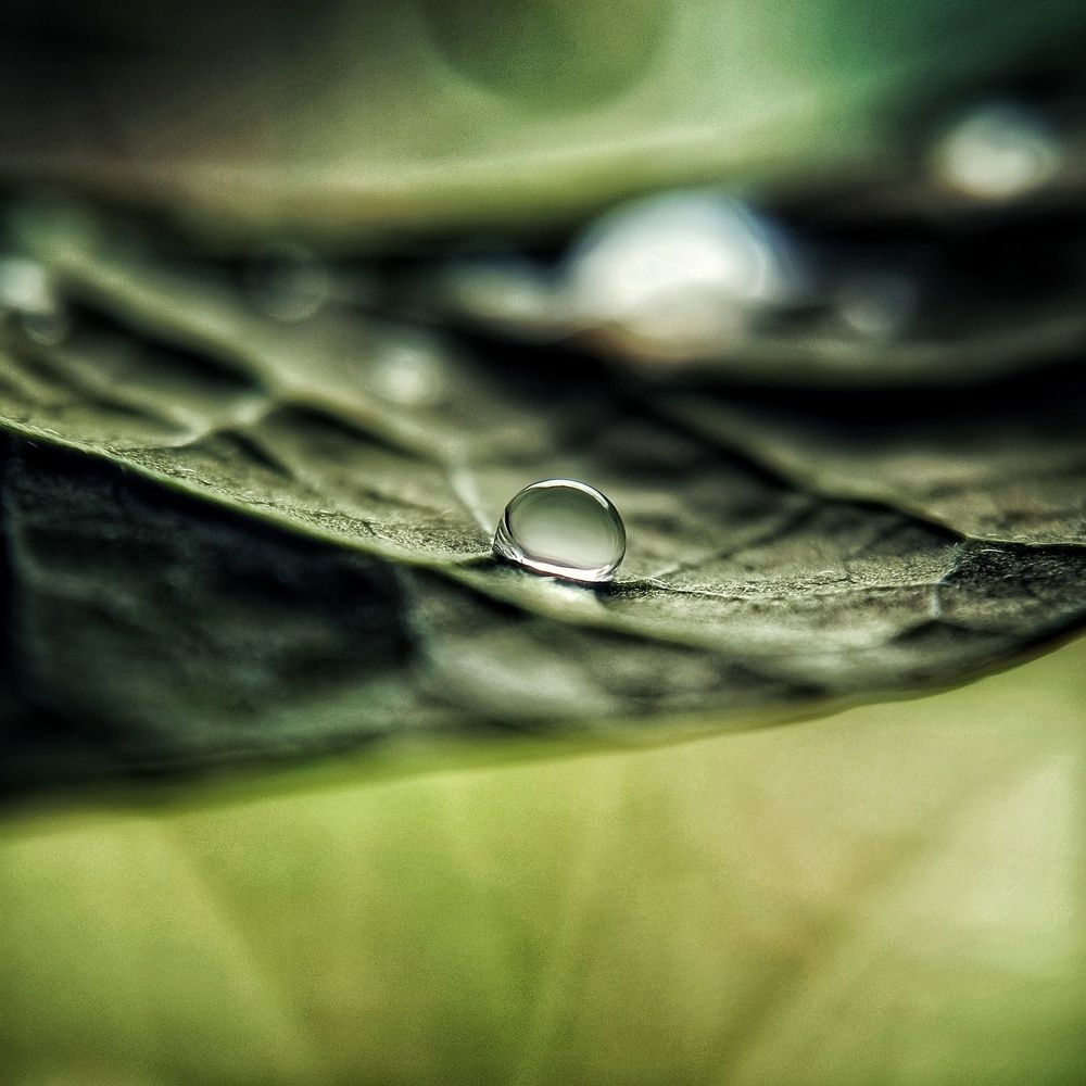 Photograph by Soumalya Halder