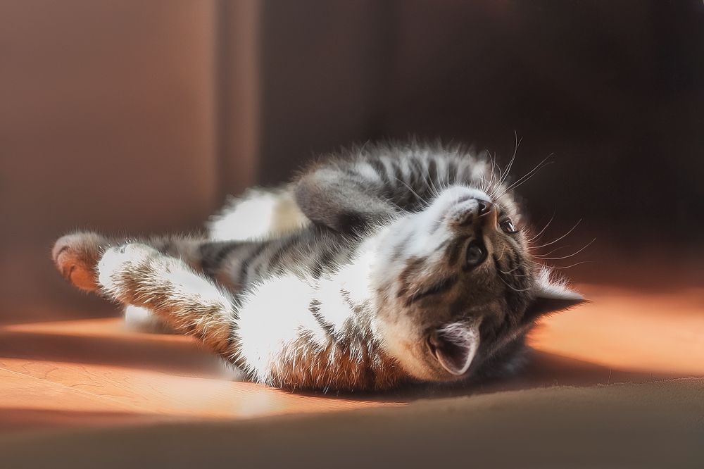 Фотография автора Татьяна Радусь