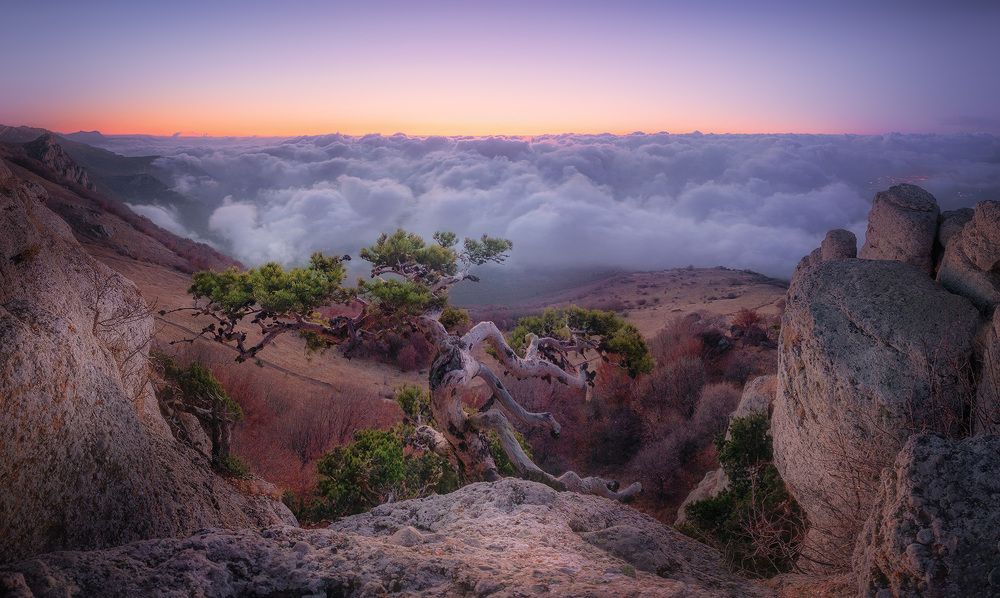 Photograph by Костенко Александр