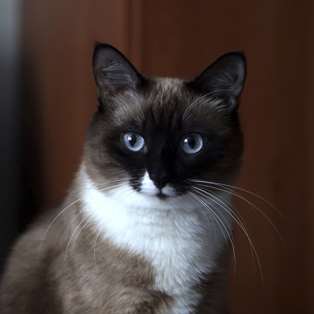 Фотография автора Алексей Клоков