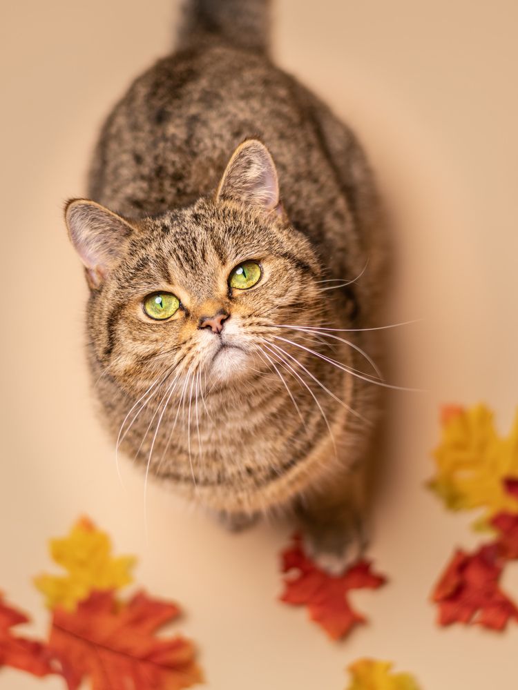 Photograph by Wendy Blauw