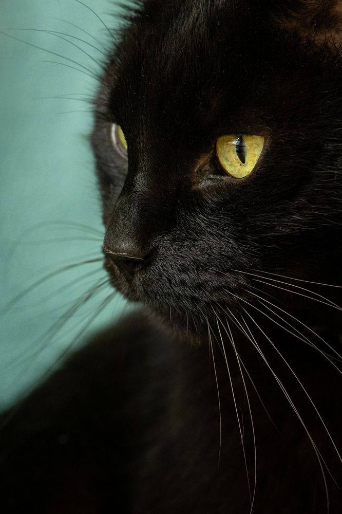 Photograph by Wendy Blauw