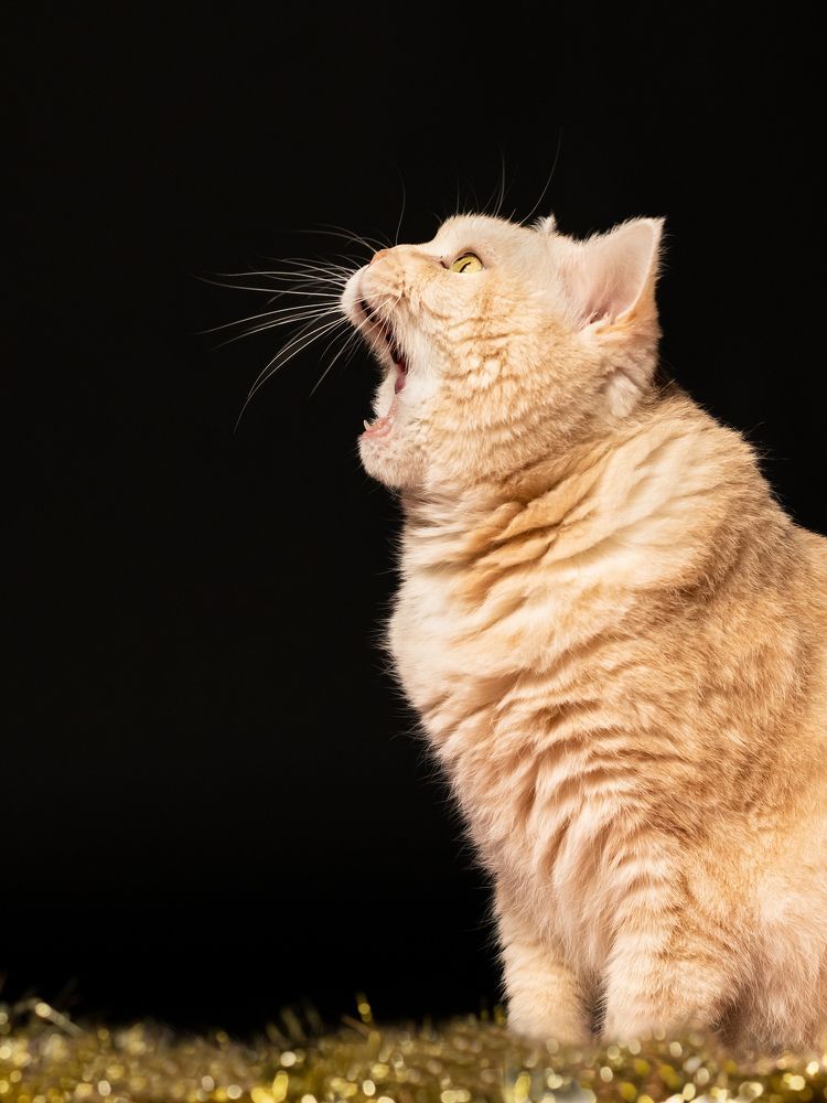 Photograph by Wendy Blauw