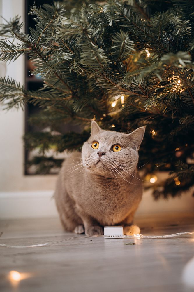 Photograph by Екатерина Абонеева