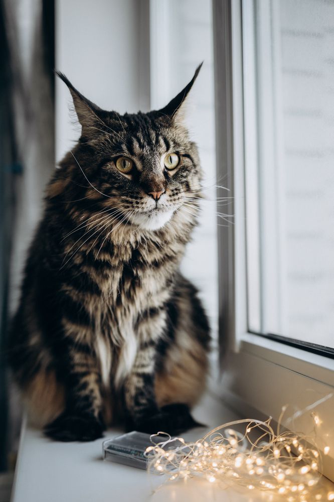 Photograph by Екатерина Абонеева