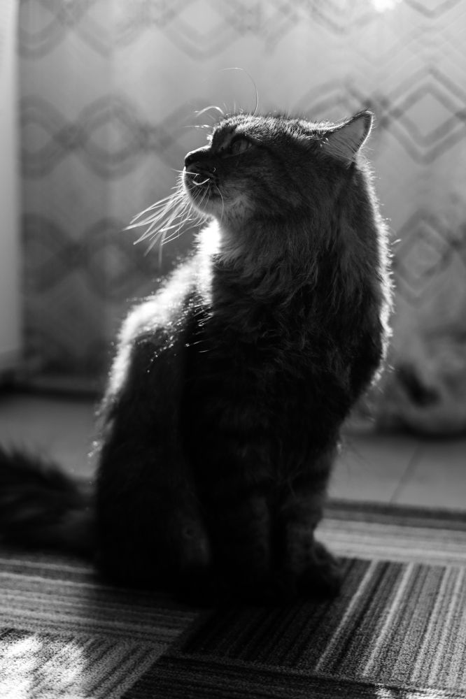 Photograph by Ольга Матус